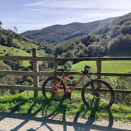 Hostal-Cicloturismo Lopenea Leitza  Bagian luar foto