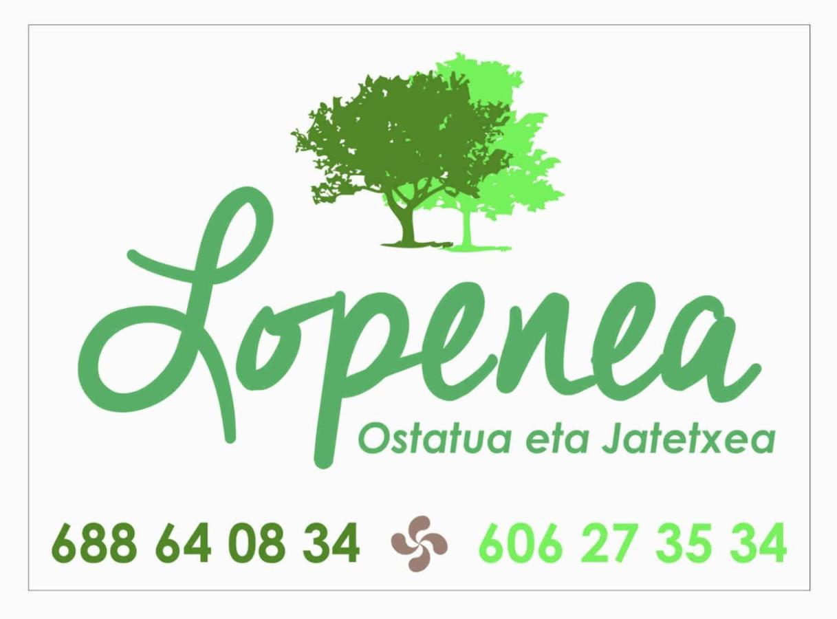 Hostal-Cicloturismo Lopenea Leitza  Bagian luar foto